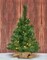 Small Christmas Tree 2ft Prelit Battery Operated Timer Lighted Artificial Green Mini Xmas Pine Trees Decorations